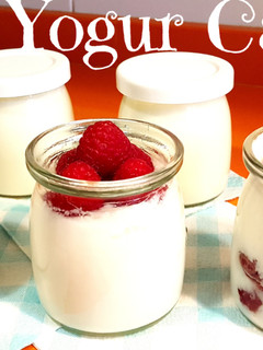 Una foto de Como hacer yogur casero en yogurtera