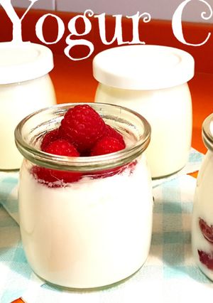 Foto principal de Como hacer yogur casero en yogurtera