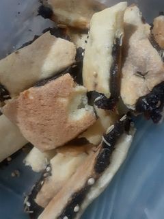 عکسی از دستور کلوچه محلی خرمایی