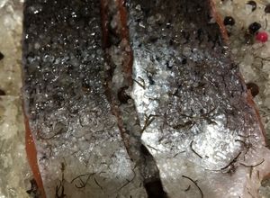 Una foto de Gravlax de salmón