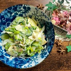A picture of New Onion and Cucumber Salad.