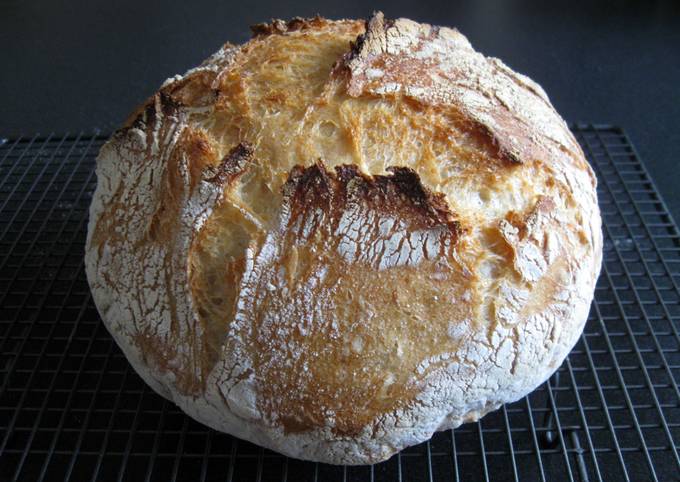 Overnight Proofing Plain Flour Rustic Bread