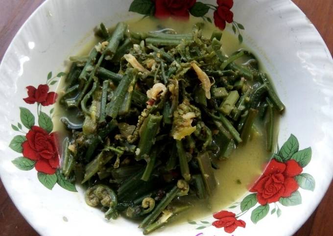 Resep Sayur Lodeh Pakis Oleh Zalfaa Kitchen Cookpad