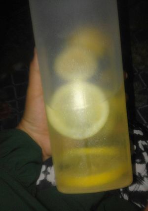 Foto resep infused water ( lemon )