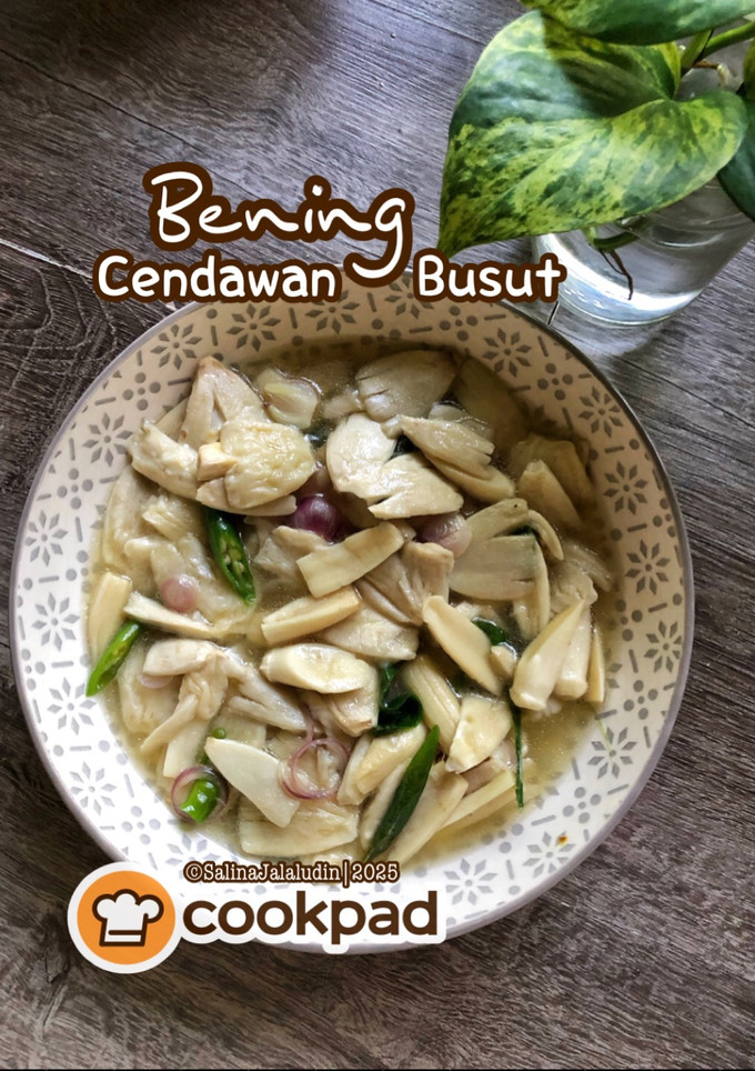 Gambar Bening Cendawan Busut