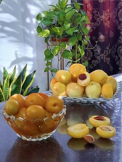 عکسی از دستور کمپوت زردآلو