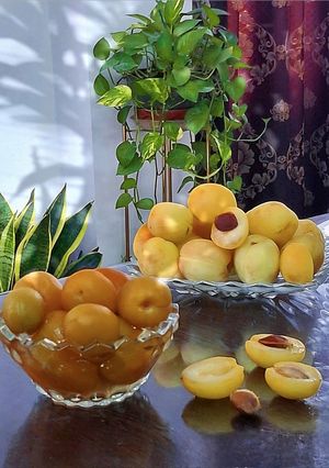 عکسی از دستور کمپوت زردآلو