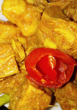 A picture of Raw Jackfruit Curry (without onion,garlic).