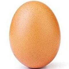 A picture of Egg.