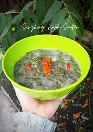 Foto resep Daun Singkong Kuah Santan
