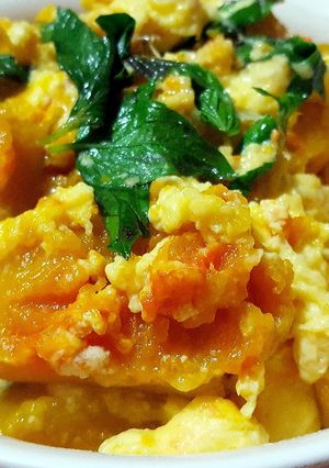 A picture of Pumpkin with scrambled eggs.