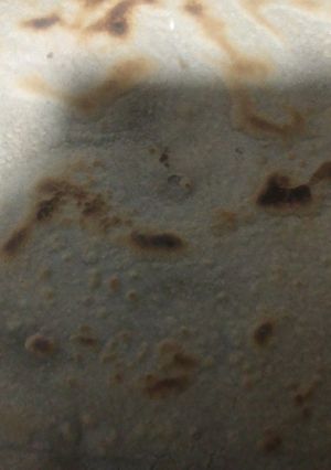 बाजरा रोटी(bajra roti recepie in hindi) रेसिपी मुख्य फोटो