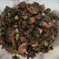 A picture of Moringa(kwadan zogala).