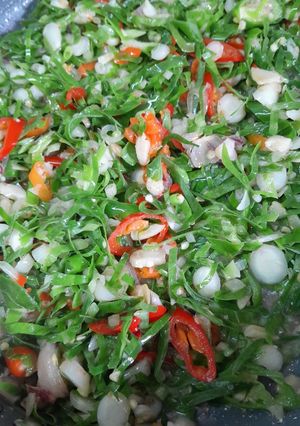 Foto resep Oseng daun kencur muda