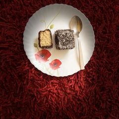 A picture of Lamington cake.