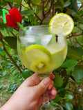 Gin com Sprite e Kiwi