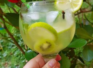 Foto de Gin com Sprite e Kiwi