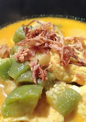 Foto resep Sayur gurih terong tahu ale