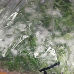 A picture of Freeze Spinach leaves.