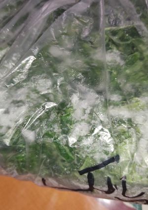 A picture of Freeze Spinach leaves.