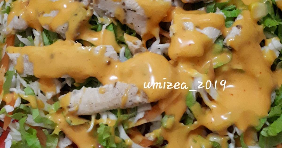 Resep Chicken Salad dengan Saus Mayonaise Keju oleh Umi ...