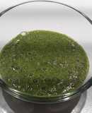 Mojo de cilantro