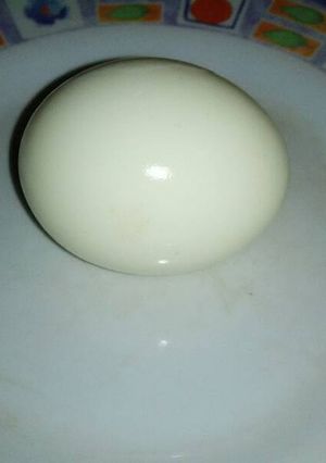 Foto resep Trik rebus telur hanya 5 menit sajaaa 😘