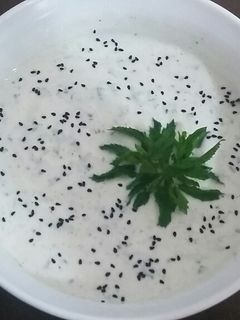 عکسی از دستور ماست و خیار هندی
