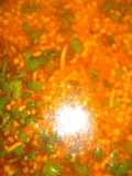Fiki boondi