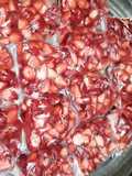 تخزين الفراولة 🍓