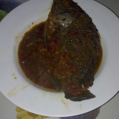 A picture of Fish #4weekschallenge.