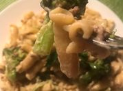 A picture of creamy garlic ground beef pasta