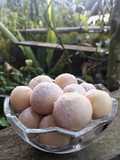 64. Cimol