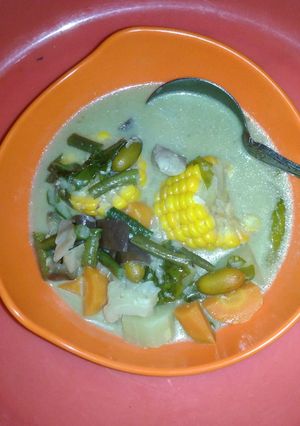 Foto resep Sayur Lodeh