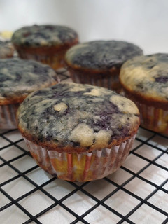 Foto resep Blueberry Muffin