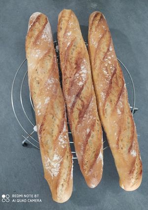 Une photo de 🥖 Baguette 🥖