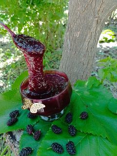 عکسی از دستور مارمالاد شاه توت 🍇🍇👌
