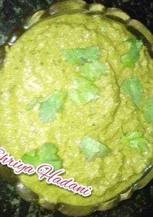 ગ્રીન ચટણી (ફૂદીના ફલેવર). (Fudina chutney in gujrati) રેસીપી મુખ્ય ફોટો