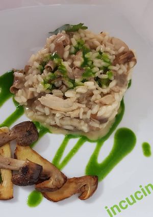 A picture of Porcini Mushroom Risotto with Parsley Sauce.