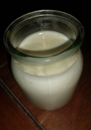 Una foto de Mayonesa Casera