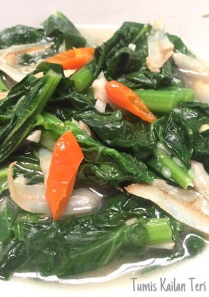 Foto resep Tumis Kailan Teri
