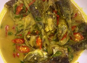 Foto resep Ikan dencis bumbu kuning