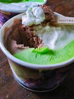 Foto resep Homemade Ice Cream Lembut