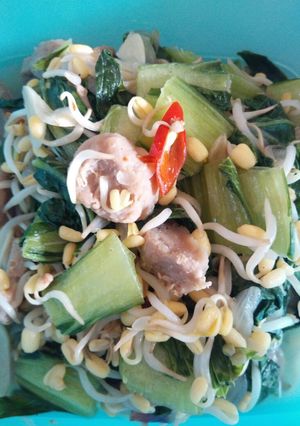 Foto resep Tumis Tauge Pockcoy Bakso
