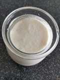 Plain Yogurt with a Yogurt Maker