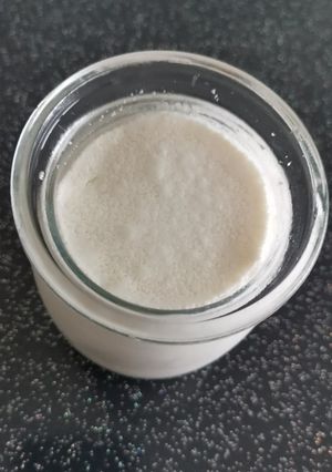 A picture of Plain Yogurt with a Yogurt Maker.