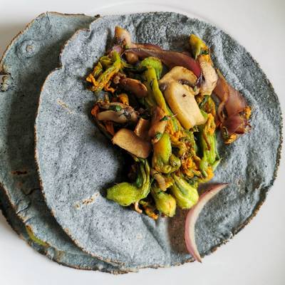 Quesadillas de flor de calabaza con hongos Receta de Lena T- Cookpad