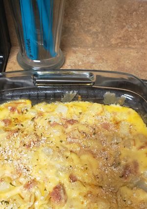 A picture of Cheesey ham and potato casserole.