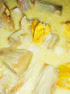 Foto resep Lodeh Nangka Tahu