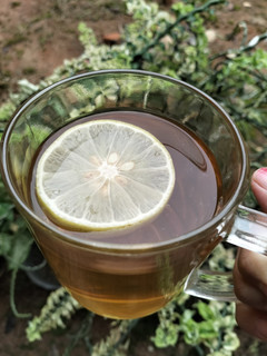 Foto resep Teh lemon hangat